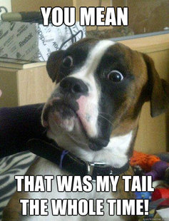 Baffled boxer