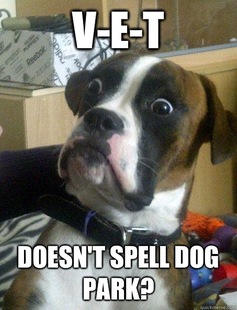 Baffled boxer