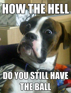 Baffled boxer