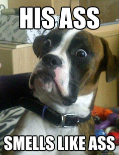 Baffled boxer