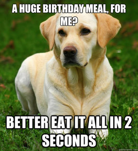 Dog Logic