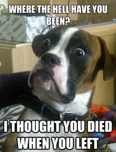 Baffled boxer