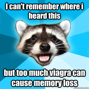 Lame Pun Coon