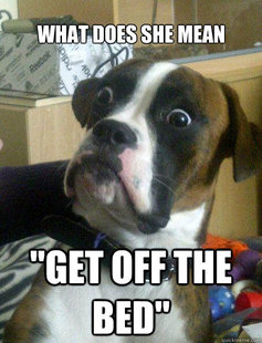 Baffled boxer