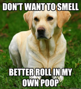 Dog Logic