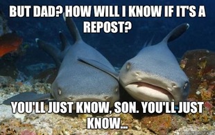 Compassionate Shark Friend