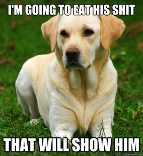 Dog Logic
