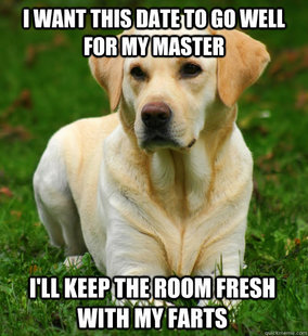 Dog Logic