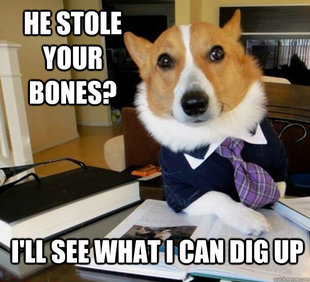 Lawyer Dog