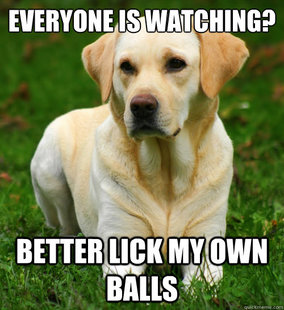Dog Logic