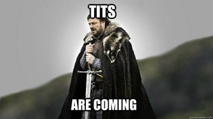 Ned stark winter is coming