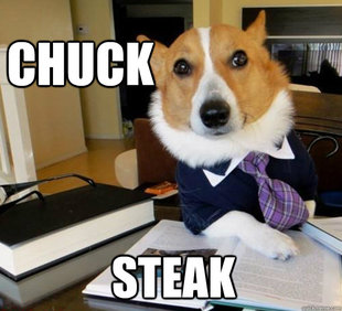 Lawyer Dog