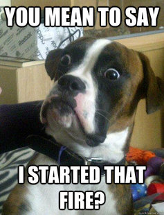 Baffled boxer