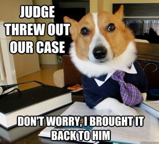 Lawyer Dog