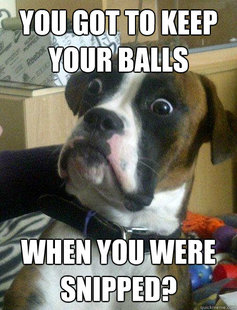 Baffled boxer