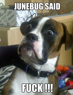 Baffled boxer
