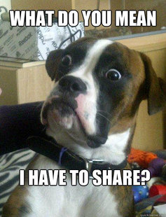 Baffled boxer