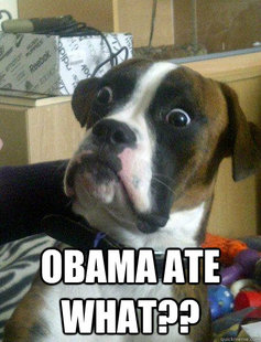 Baffled boxer