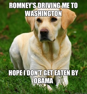 Dog Logic
