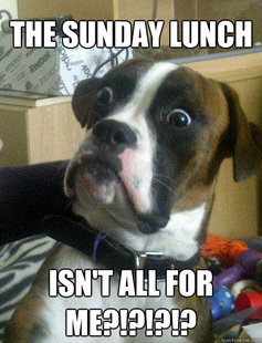 Baffled boxer