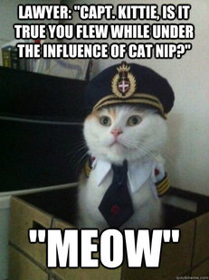 Captain kitteh