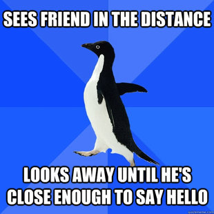 Socially Awkward Penguin