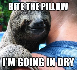 Suspiciously Evil Sloth