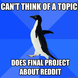 Socially Awkward Penguin