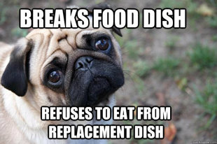 First World Dog problems