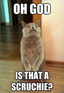 Horrorcat