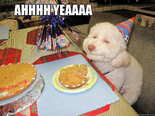 Birthday Dog
