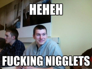 Racist Steve