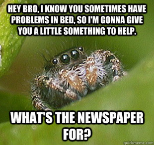 Misunderstood Spider