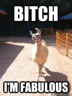 Llama