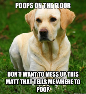 Dog Logic