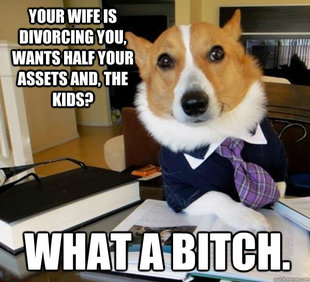 Lawyer Dog