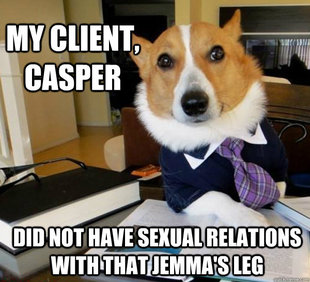 Lawyer Dog
