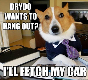 Lawyer Dog