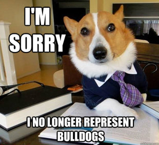 Lawyer Dog