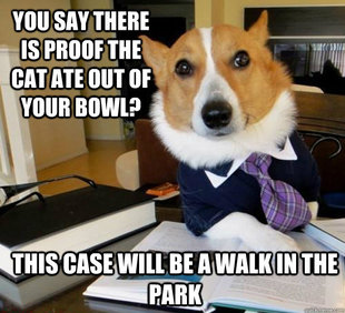 Lawyer Dog