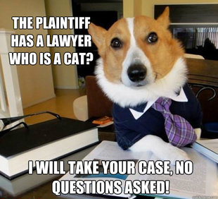 Lawyer Dog