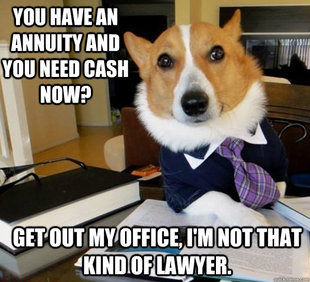 Lawyer Dog