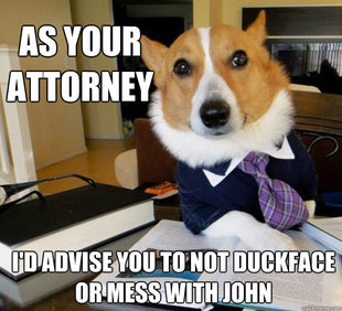 Lawyer Dog