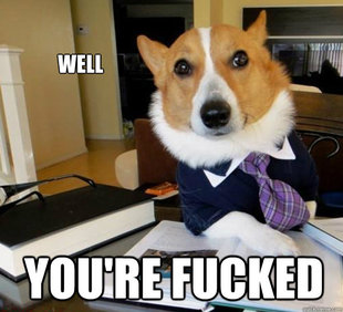 Lawyer Dog