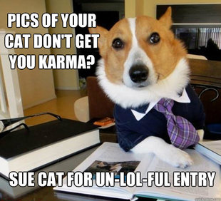 Lawyer Dog