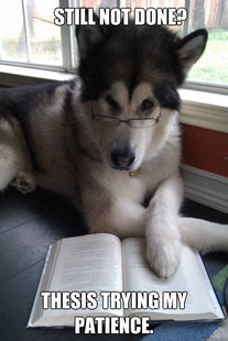 Condescending Literary Pun Dog