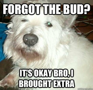 Its Okay Dog