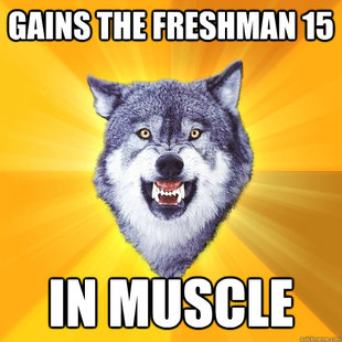 Courage Wolf