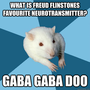 Psychology Major Rat