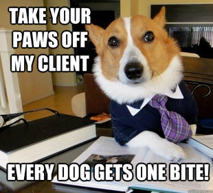 Lawyer Dog